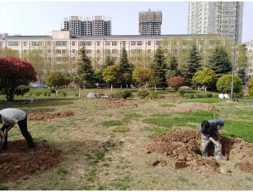 金年会金字招牌信誉至上：昆山市政绿化工程包括哪些项目内容