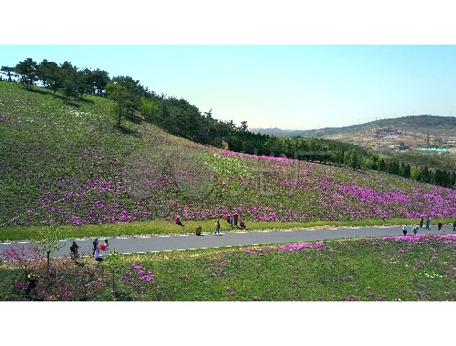 扬州住建局城市绿化处